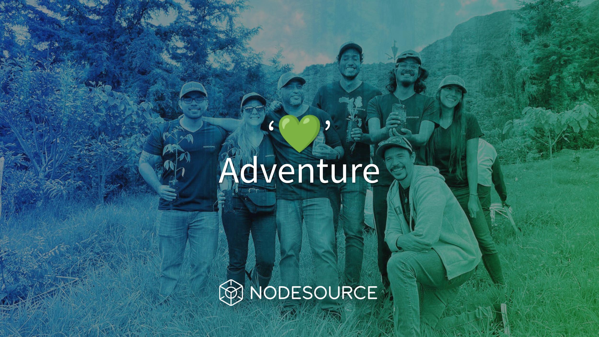 Nodeforest-experience
