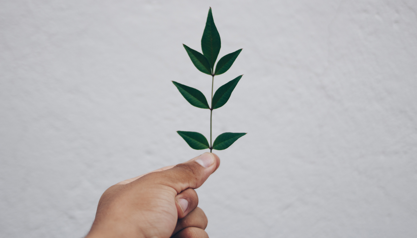 getting-started-with-node-js-and-mongodb