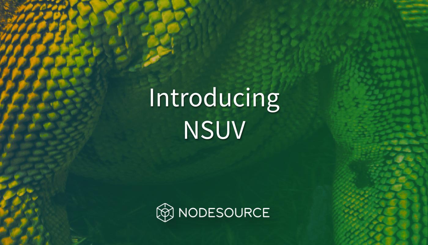 intro-nsuv