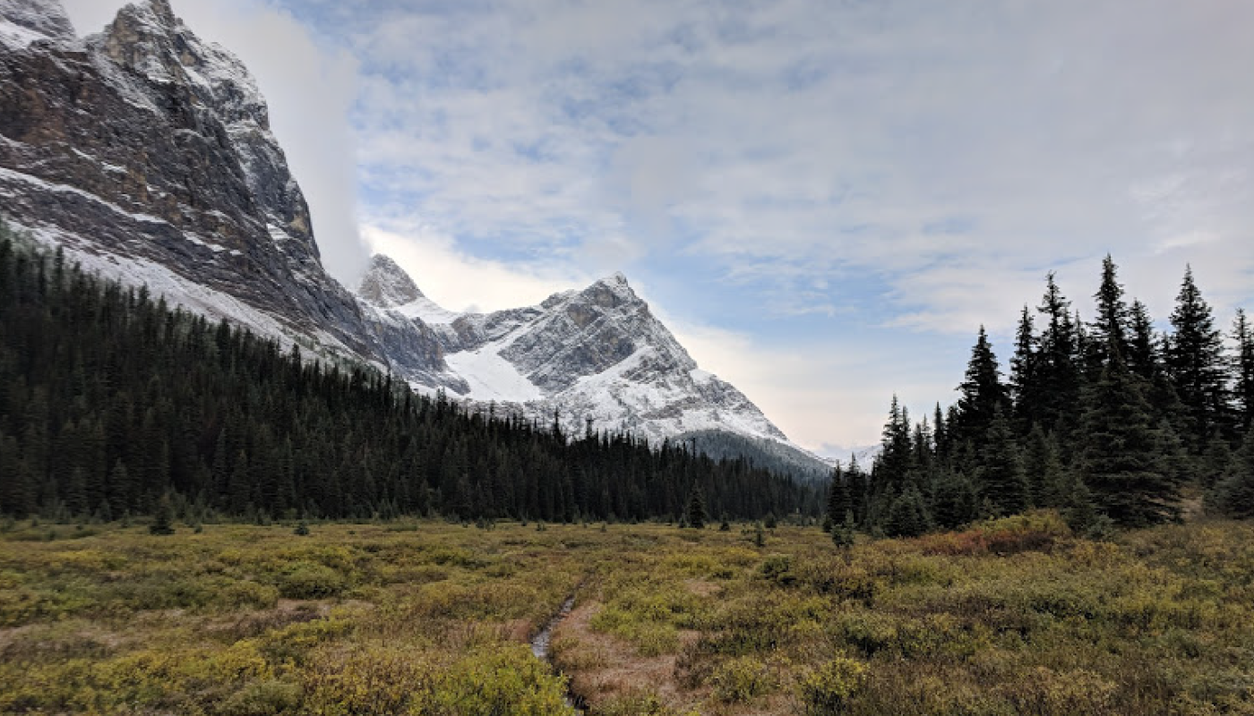 tracking-down-performance-bottlenecks-nsolid-deoptigate